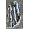 Airbag Mondeo