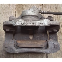 Pinza Polo