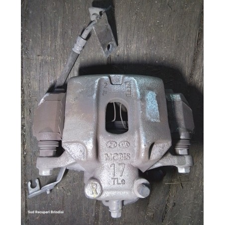 Pinza Sportage